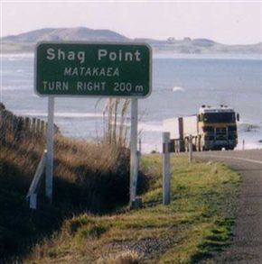 Shag Point